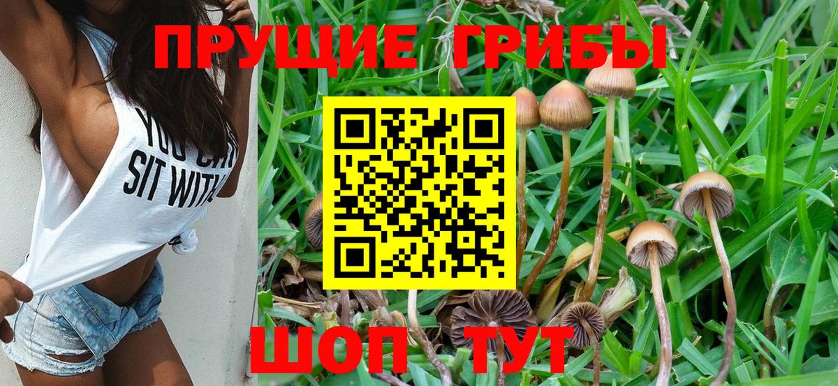 Псилоцибиновые грибы Cubensis  Вход с VPN  Галлюциногенные грибы Psilocybine cubensis  Магадан 